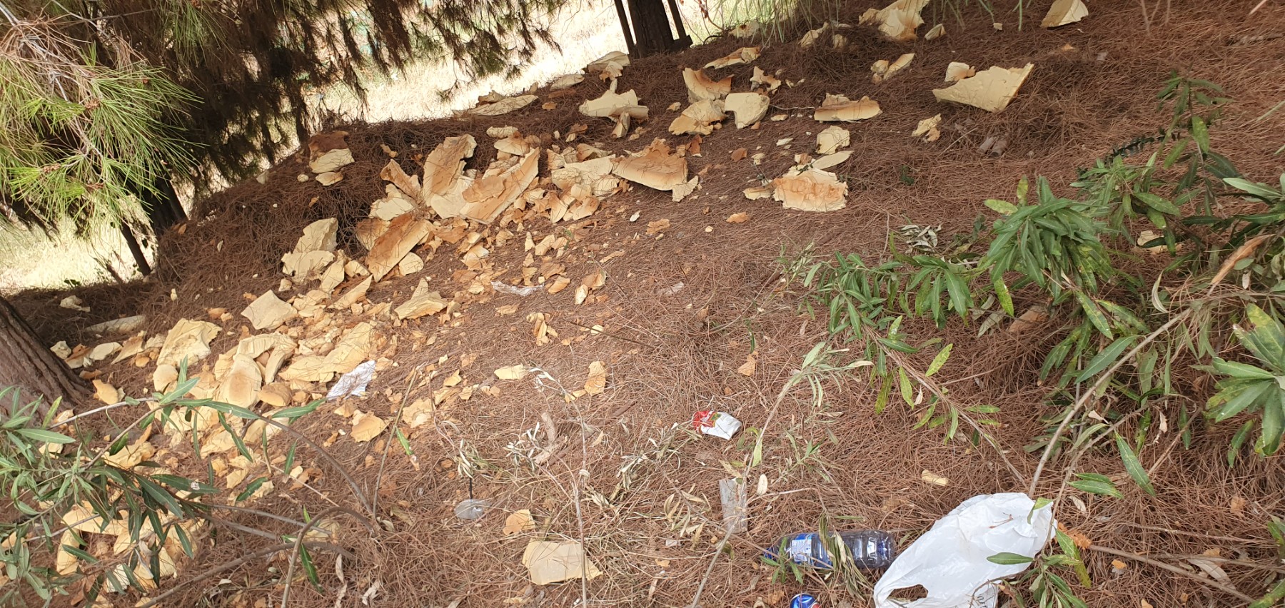 Foam (?) dumped in the park