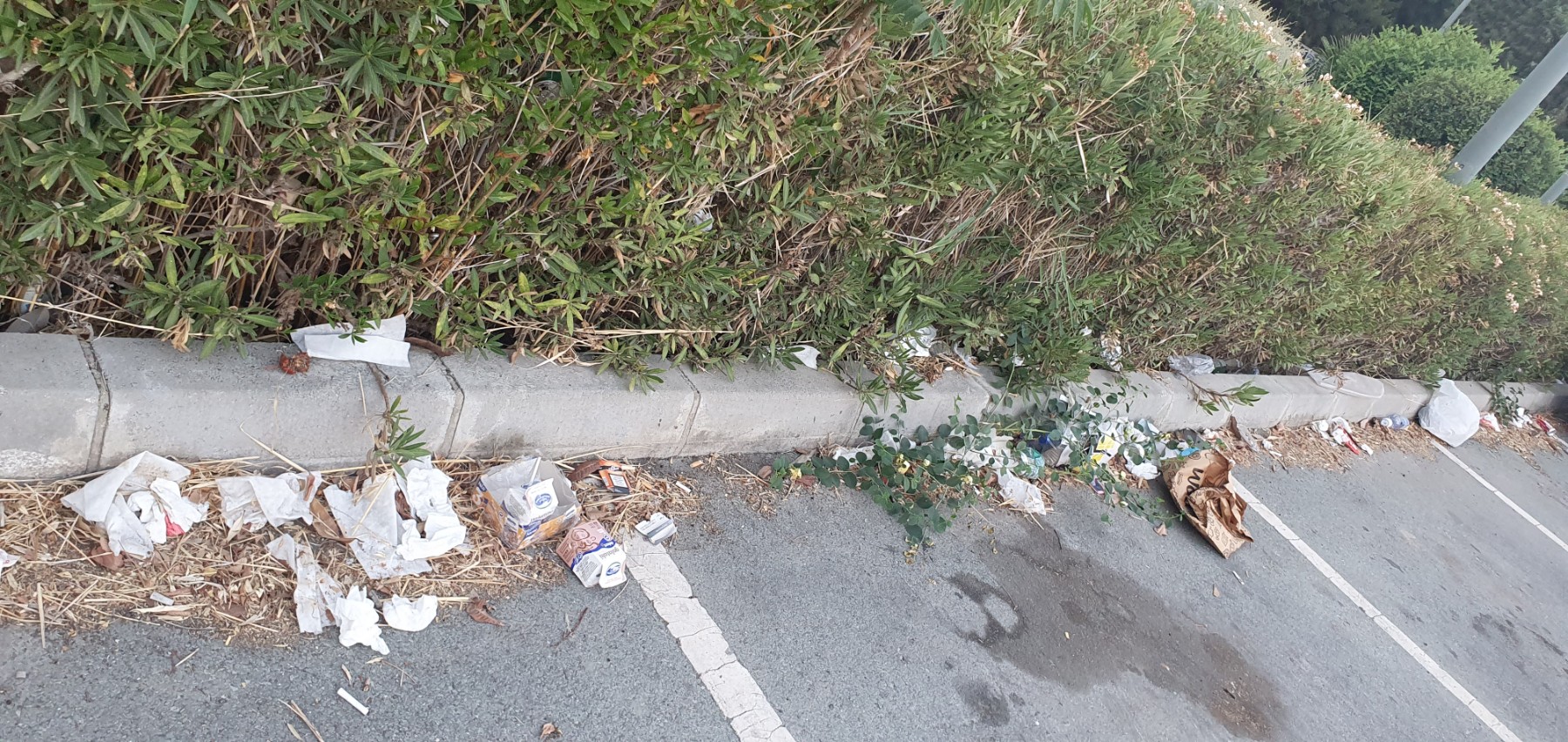 Random rubbish throughout the park