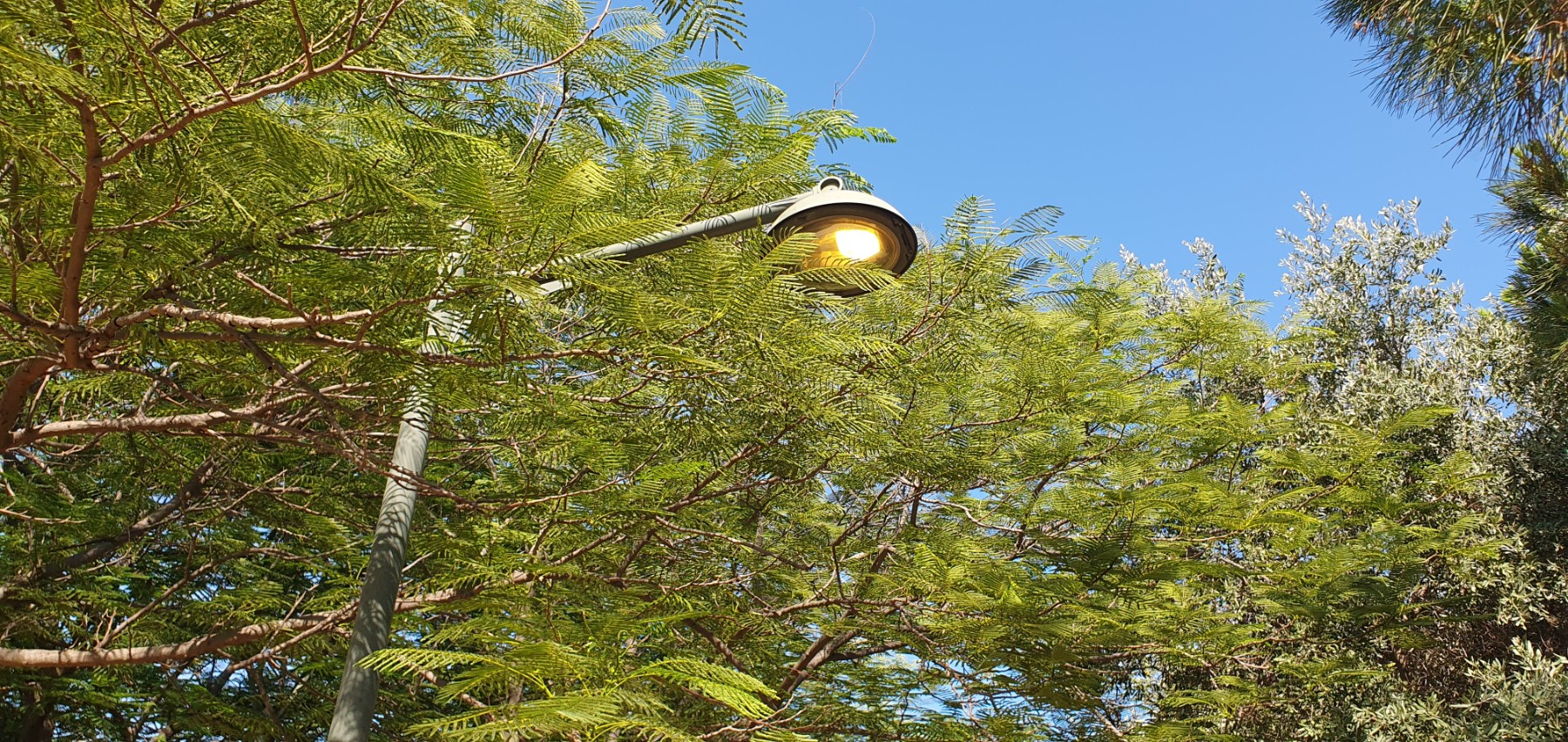 Light on during the day instead of at night