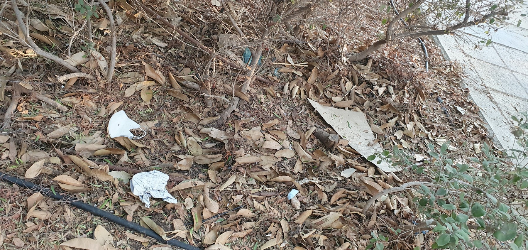 Rubbish in the park