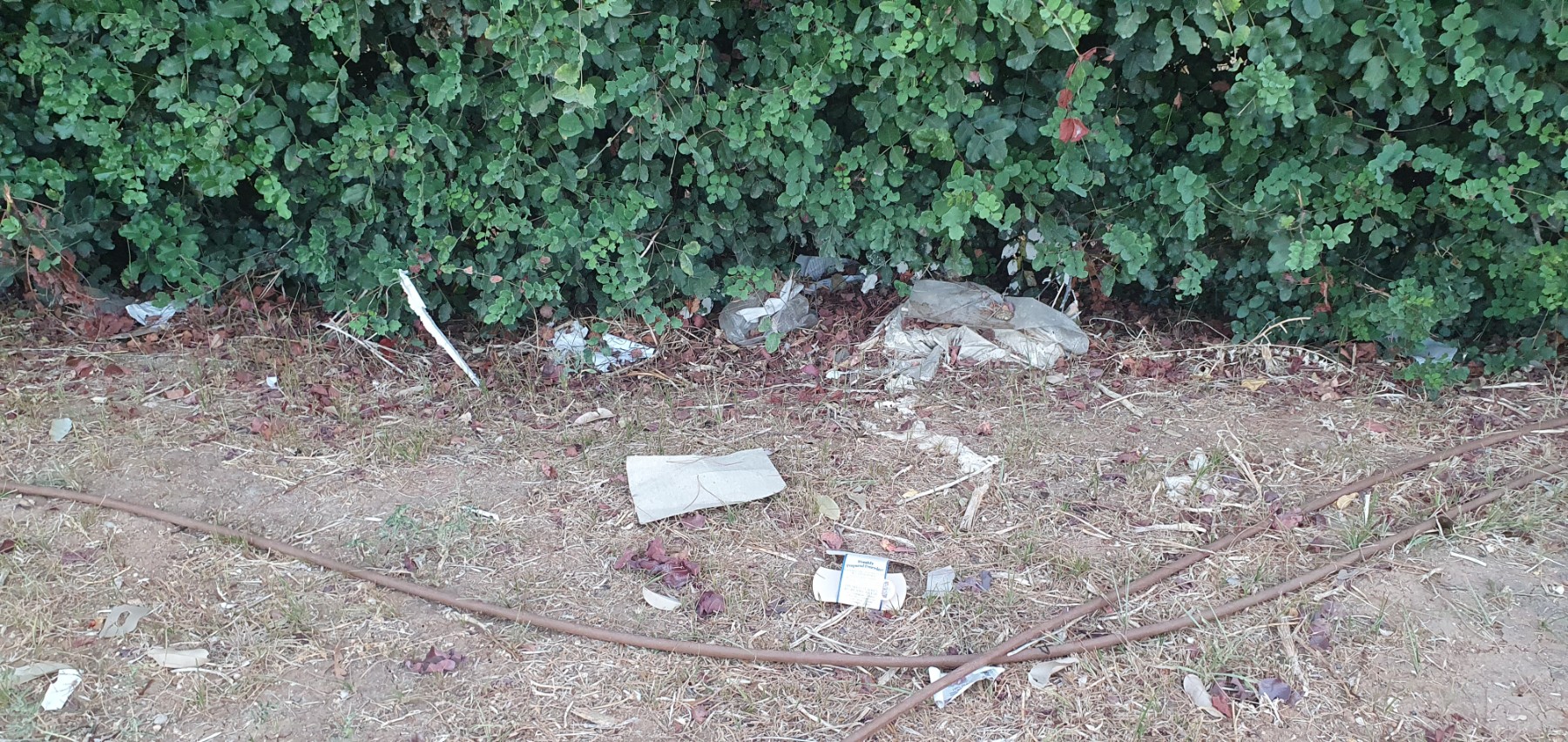 Random rubbish throughout the park