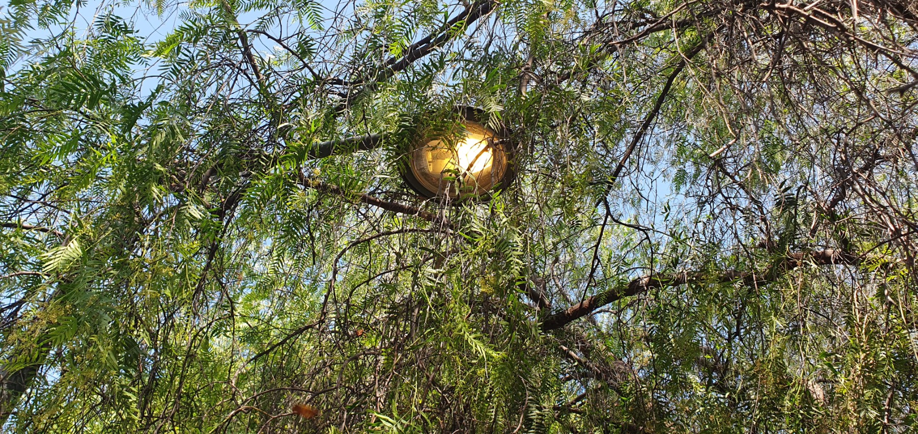 Light on during the day instead of at night