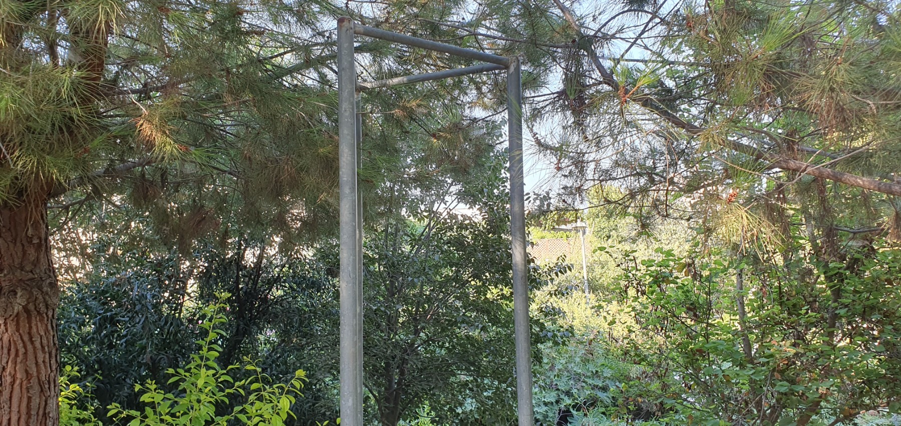 Missing signs throughout the park